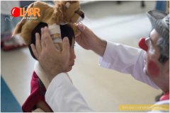 PRONAC-153225-Olhar-do-Palhaco-112